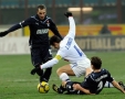 Doda: Zuraw, dnia: 2009.12.21, rys. 