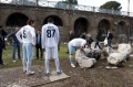 Doda: Kalish, dnia: 2010.01.02, rys. 