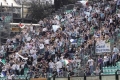 Doda: Zuraw, dnia: 2009.04.06, rys. 